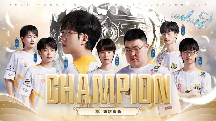 球员的声音