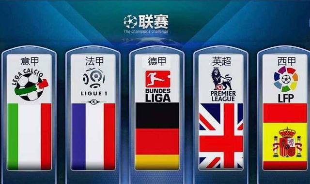 在国内和欧